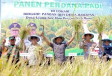 Swasembada Pangan dan Infrastruktur Jadi Fokus Pemprov Pacu Ekonomi Sulsel