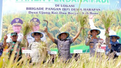 Swasembada Pangan dan Infrastruktur Jadi Fokus Pemprov Pacu Ekonomi Sulsel