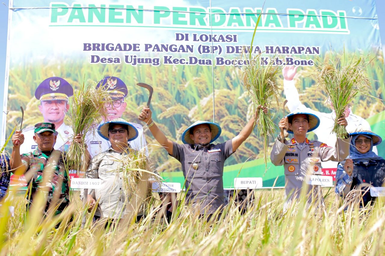 Swasembada Pangan dan Infrastruktur Jadi Fokus Pemprov Pacu Ekonomi Sulsel