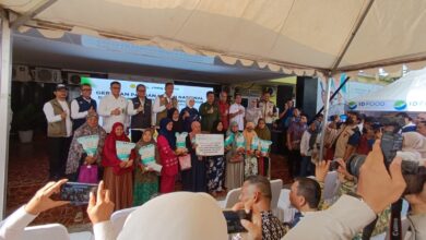 Gerakan Pangan Murah Nasional Digelar Serentak, Sulsel Perkuat Akses Pangan Terjangkau