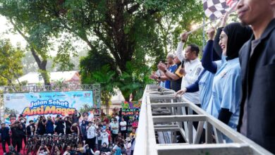 Gubernur Sulsel Lepas Puluhan Ribu Peserta Jalan Sehat Anti Mager dan Kirab Swasembada Pangan